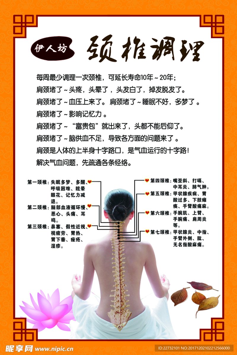 健康管理师报考条件:2026年新手入门与专业进阶的全新格局解读